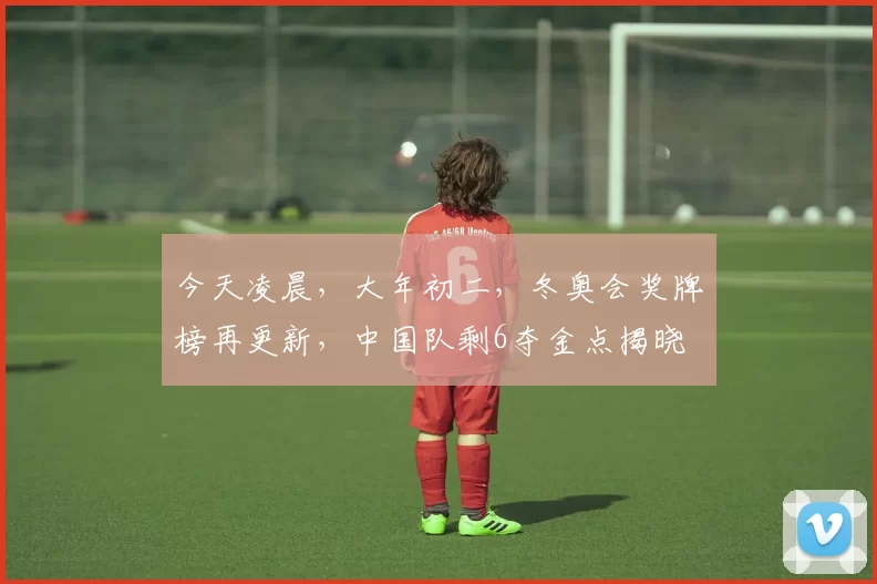 今天凌晨，大年初二，冬奥会奖牌榜再更新，中国队剩6夺金点揭晓