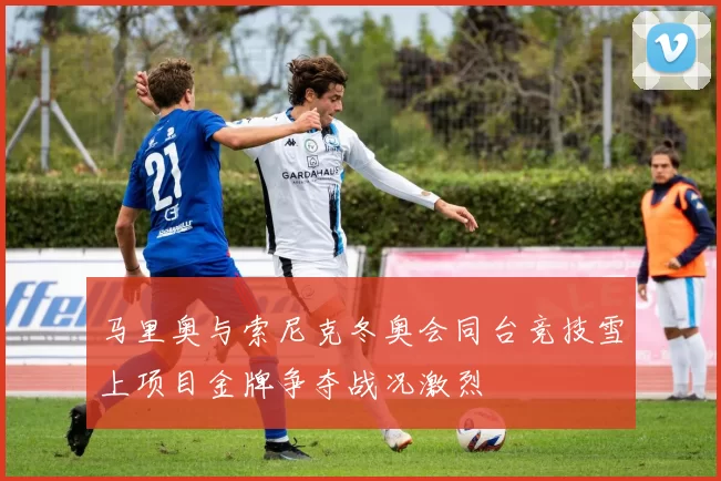 马里奥与索尼克冬奥会同台竞技雪上项目金牌争夺战况激烈