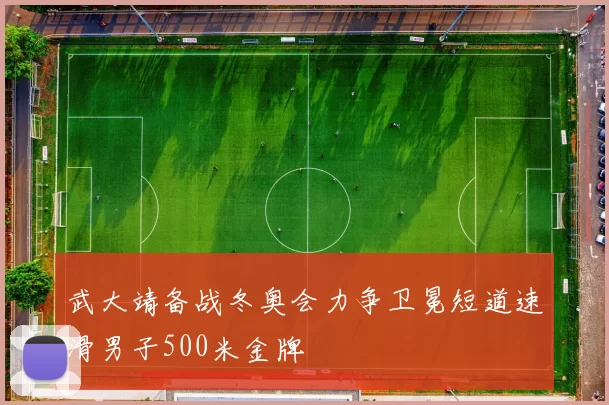 武大靖备战冬奥会力争卫冕短道速滑男子500米金牌
